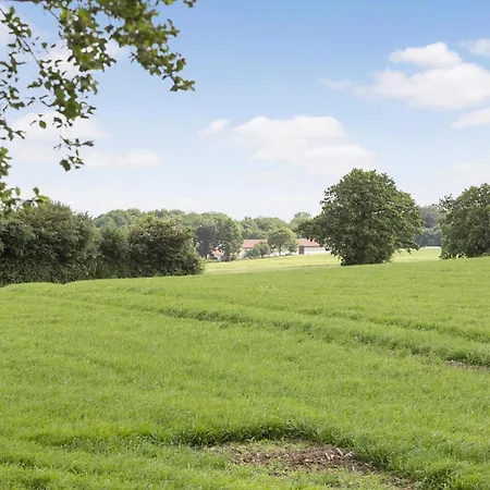 3 Bedroom Beautiful In *