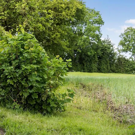 3 Bedroom Beautiful In *