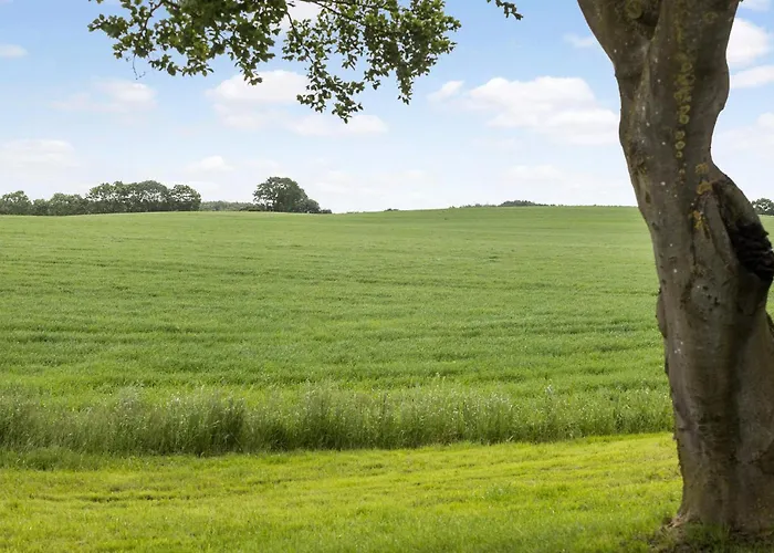 3 Bedroom Beautiful In *