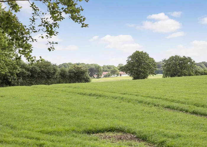 3 Bedroom Beautiful In *