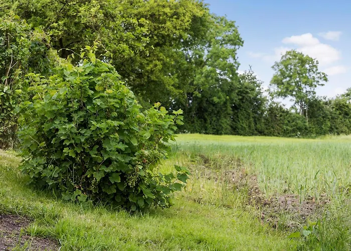 3 Bedroom Beautiful In *